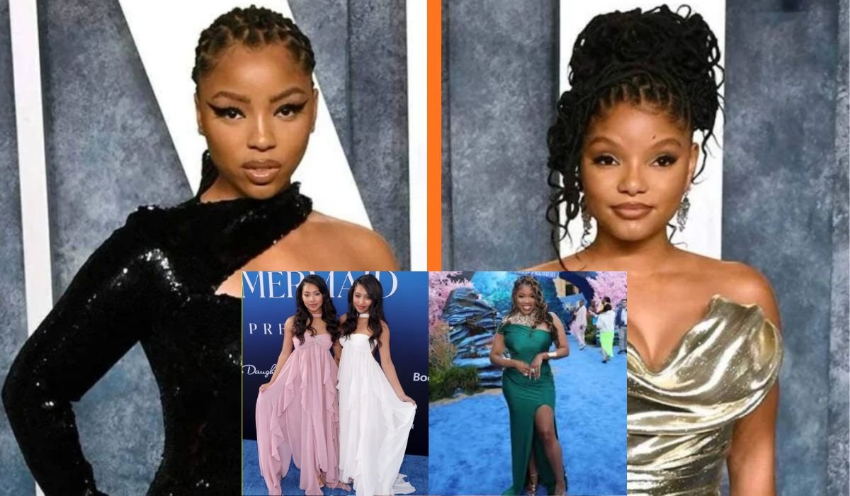 Life and Stress at the Ice Edge – New trip with Friends