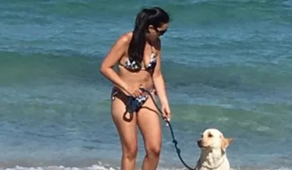 ana luz rodriguez-paz