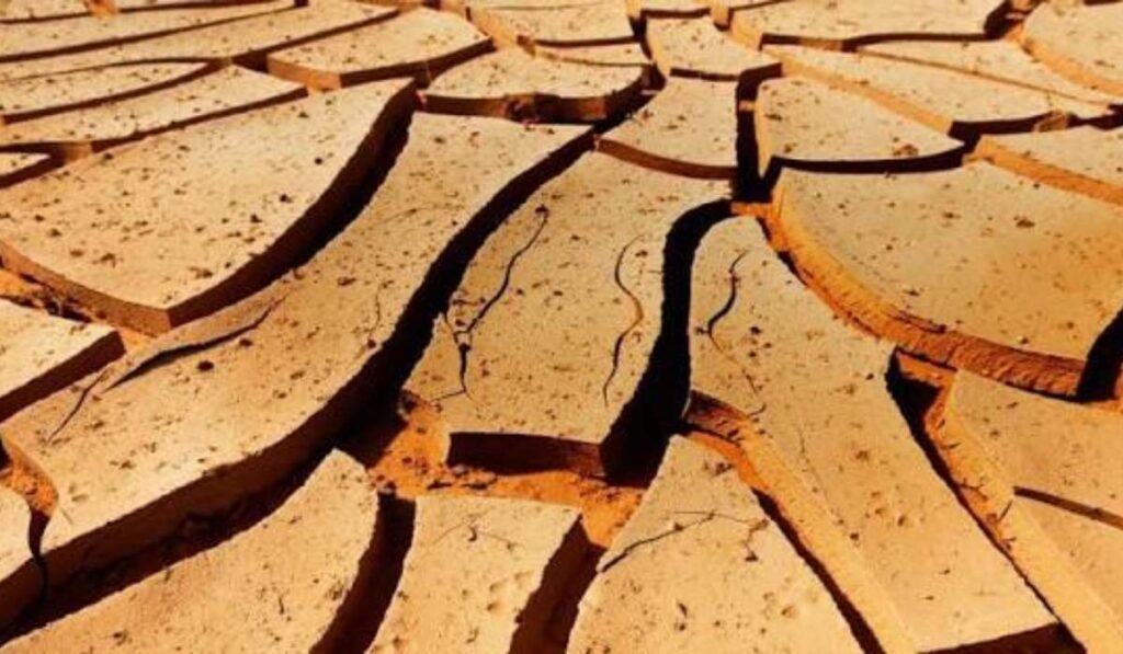 Harsh Environments