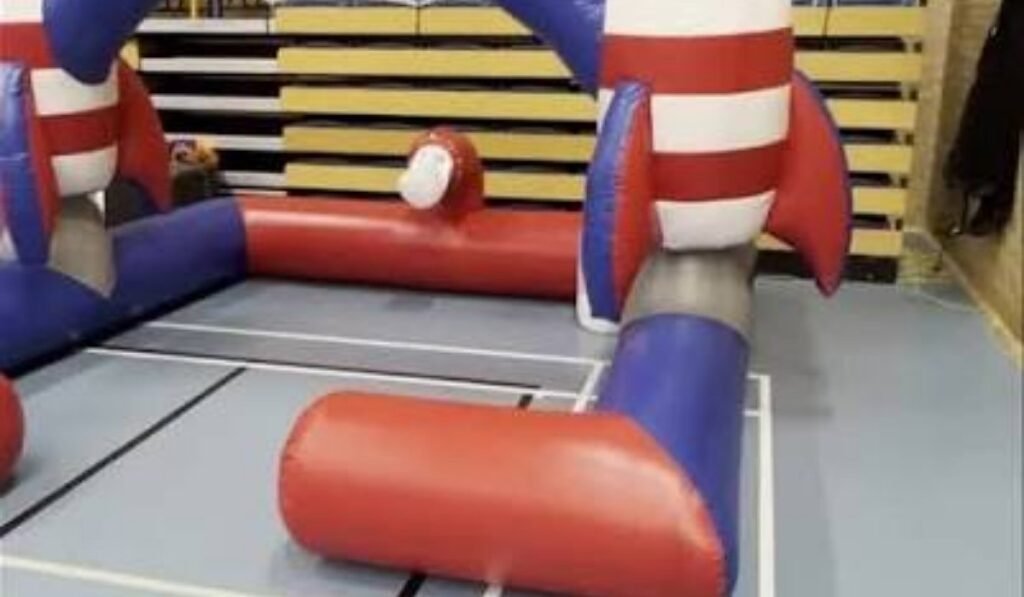 Inflaton