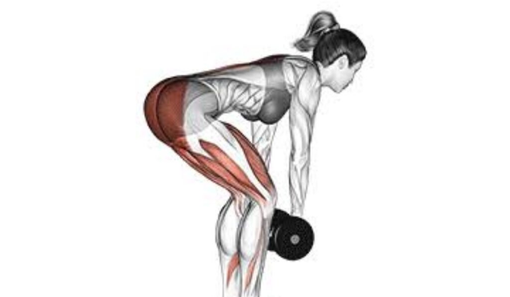 romanian deadlifts dumbbells